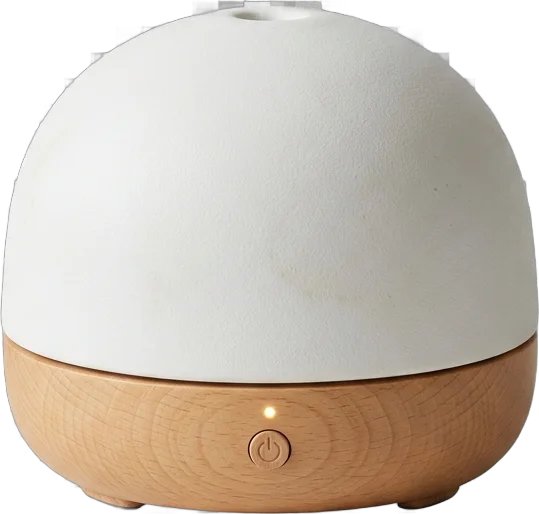 Zen Diffuser
